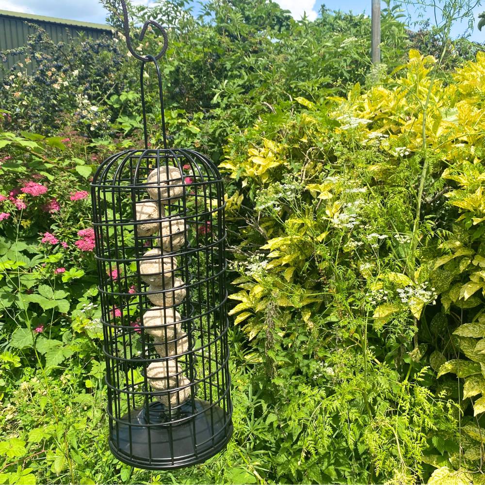 Large Squirrel Proof Fat Ball Feeder